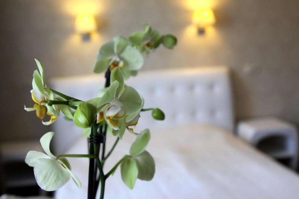 Hotel Felicia ريغا المظهر الخارجي الصورة